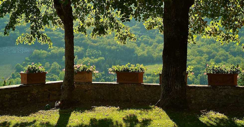 Wine and cooking in the Tuscan countryside